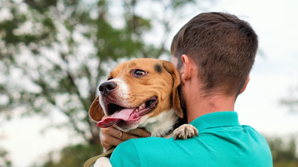 Köpekler Eski Sahiplerini Unutur mu?